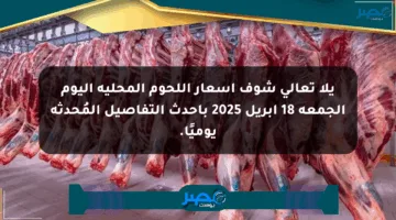 يلا تعالى شوف أسعار اللحوم المحلية اليوم الجمعة 18 أبريل 2025 بأحدث التفاصيل المُحدثة يوميًا.